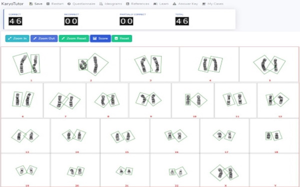 Focus on cytogenetics